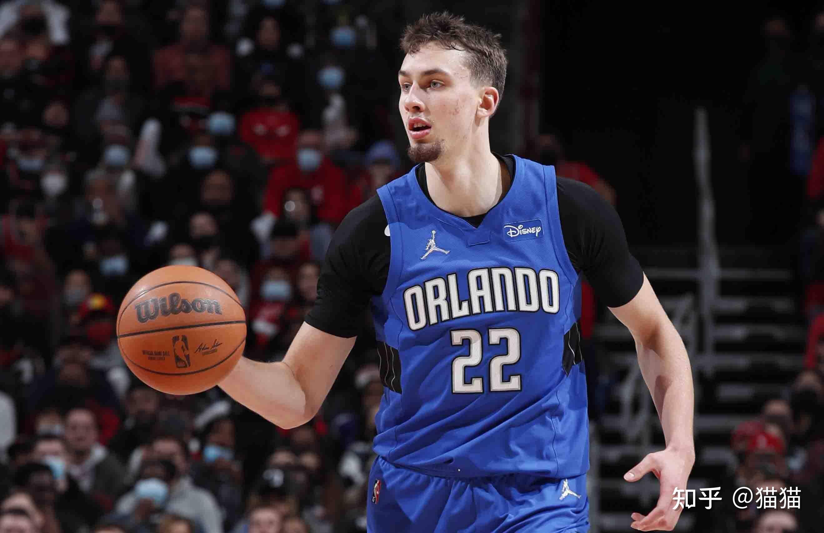 除了法律法 除了法律法