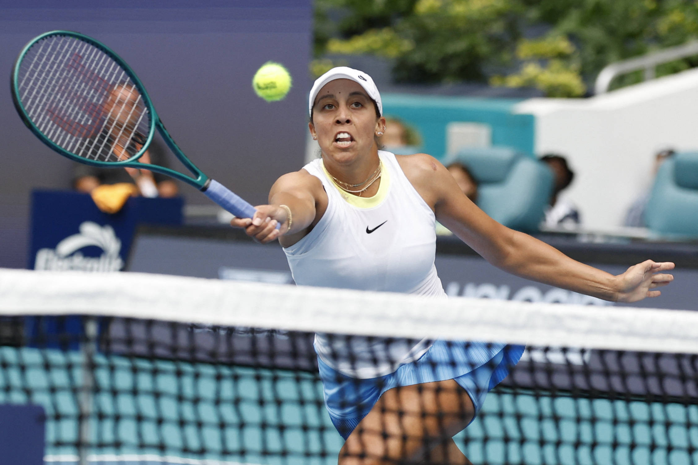 入了新鲜血 入了新鲜血